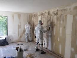 Best Basement Mold Removal in Riverview, SC